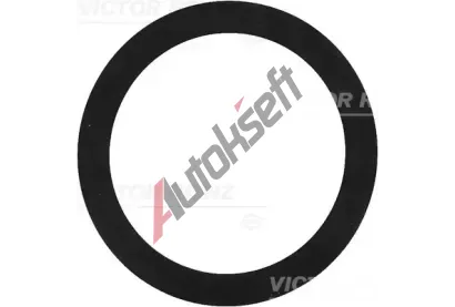 REINZ T�sn�c� krou�ek VR 40-77392-00, 40-77392-00