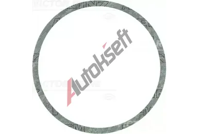 REINZ Tsnc krouek VR 40-81168-00, 40-81168-00