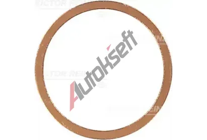 REINZ T�sn�c� krou�ek VR 41-70245-00, 41-70245-00