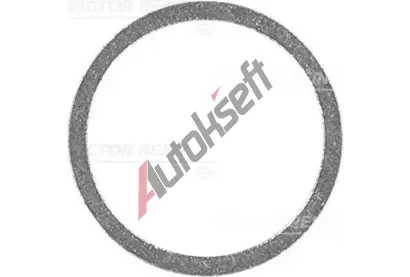 REINZ Tsnc krouek VR 41-71117-00, 41-71117-00