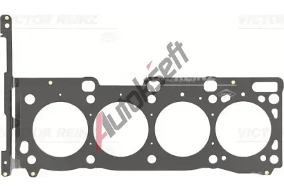 REINZ Tsnn hlavy vlce VR 61-10025-00, 61-10025-00