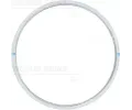 T�sn�n� hlavy v�lce&nbsp;REINZ&nbsp;&dash;&nbsp;VR 61-21925-00