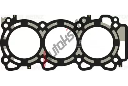 REINZ Tsnn - hlava vlce VR 61-53170-00, 61-53170-00