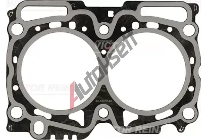 REINZ T�sn�n� - hlava v�lce VR 61-53910-00, 61-53910-00