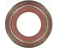 REINZ Tsnic krouek dku ventilu ‐ VR 70-10356-00