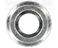 REINZ Tsnic krouek vstikovn ‐ VR 70-16736-00