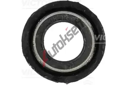 REINZ Tsnc krouek - dk ventilu VR 70-20315-20, 70-20315-20