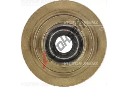 REINZ Tsnc krouek - dk ventilu VR 70-31056-00, 70-31056-00