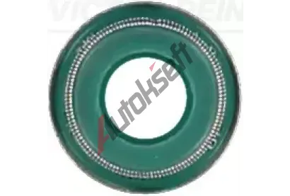 REINZ Tsnc krouek - dk ventilu VR 70-31306-10, 70-31306-10