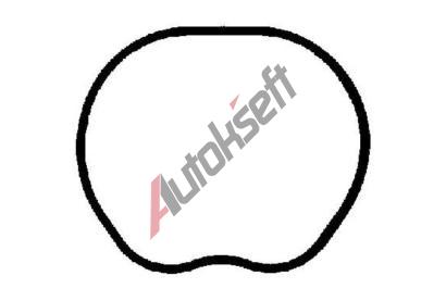 REINZ Tsnn sacho potrub VR 70-35533-00, 70-35533-00