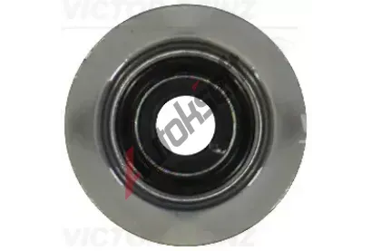 REINZ Tsnc krouek - dk ventilu VR 70-35549-00, 70-35549-00
