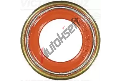 REINZ Tsnic krouek dku ventilu VR 70-36004-10, 70-36004-10