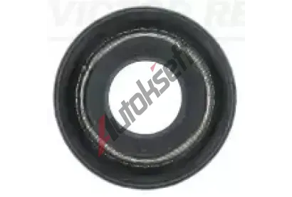 REINZ Tsnc krouek - dk ventilu VR 70-38224-00, 70-38224-00