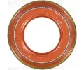 REINZ Tsnic krouek dku ventilu ‐ VR 70-39489-00