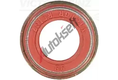 REINZ Tsnic krouek dku ventilu VR 70-42054-00, 70-42054-00