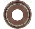 Tsnic krouek dku ventilu REINZ ‐ VR 70-53036-10