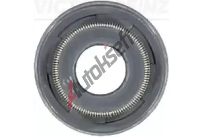 REINZ Tsnc krouek - dk ventilu VR 70-53678-00, 70-53678-00
