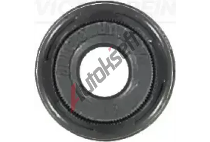 REINZ Tsnc krouek - dk ventilu VR 70-54024-00, 70-54024-00