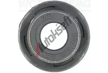 REINZ Tsnc krouek - dk ventilu VR 70-54169-00, 70-54169-00