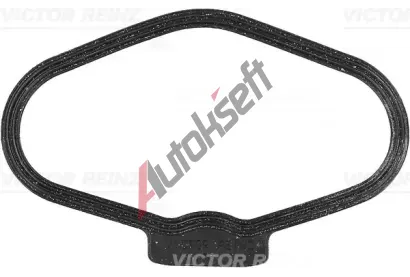 REINZ Tsnn krytu hlavy vlce VR 71-10170-00, 71-10170-00