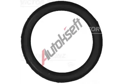 REINZ Tsnn krytu hlavy vlce VR 71-10983-00, 71-10983-00