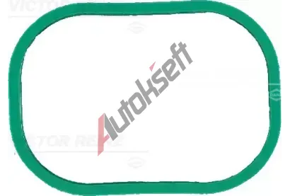 REINZ Těsnění pouzdra kolena sacího potrubí VR 71-12905-00, 71-12905-00 REINZ Těsnění pouzdra kolena sacího potrubí VR 71-12905-00, 71-12905-00