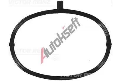 REINZ T�sn�n� VR 71-17173-00, 71-17173-00