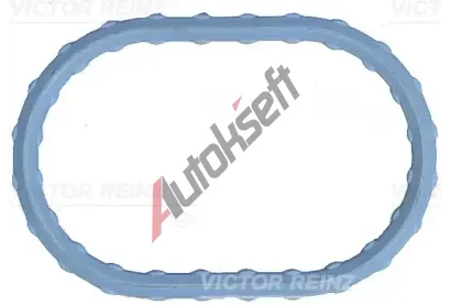 REINZ Těsnění kolena sacího potrubí VR 71-17498-00, 71-17498-00 REINZ Těsnění kolena sacího potrubí VR 71-17498-00, 71-17498-00