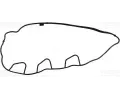 Tsnn krytu hlavy vlce REINZ ‐ VR 71-18217-00