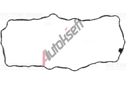 REINZ Těsnění olejové vany VR 71-19813-00, 71-19813-00 REINZ Těsnění olejové vany VR 71-19813-00, 71-19813-00