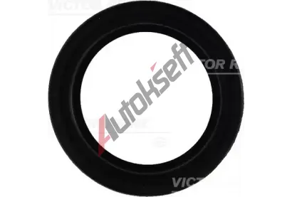 REINZ T�sn�n� - kryt hlavy v�lce VR 71-27159-00, 71-27159-00