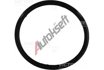 REINZ Tsnn - kryt hlavy vlce VR 71-31649-00, 71-31649-00