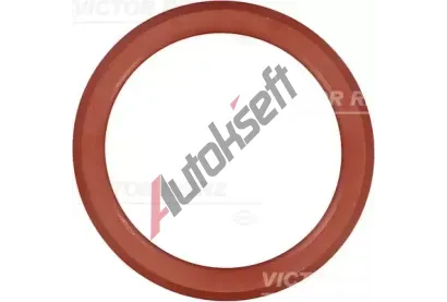 REINZ Tsnn - kryt hlavy vlce VR 71-38552-00, 71-38552-00