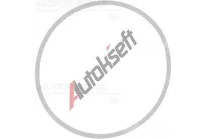 REINZ Těsnění kolena sacího potrubí VR 71-39409-00, 71-39409-00 REINZ Těsnění kolena sacího potrubí VR 71-39409-00, 71-39409-00