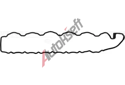 REINZ Tsnn - kryt hlavy vlce VR 71-40314-00, 71-40314-00