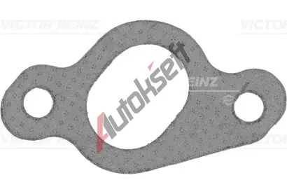 REINZ Tsnn - kolektor vfukovch plyn VR 71-52741-00, 71-52741-00