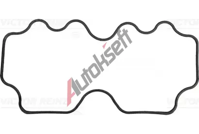 REINZ Tsnn - kryt hlavy vlce VR 71-53913-00, 71-53913-00