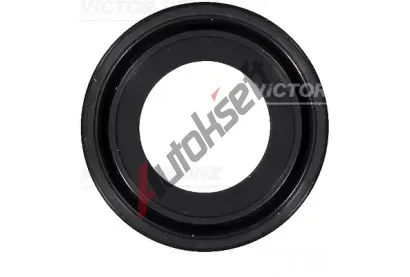 REINZ Tsnic krouek vakovho hdele VR 81-10459-00, 81-10459-00