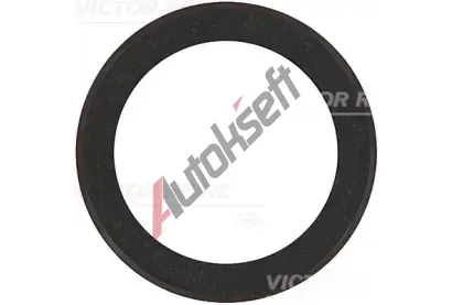 REINZ Tsnic krouek klikovho hdele VR 81-10548-00, 81-10548-00