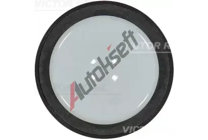 REINZ Tsnic krouek klikovho hdele VR 81-10569-00, 81-10569-00