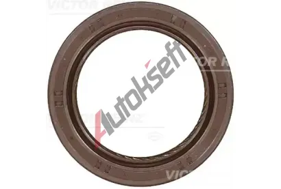 REINZ Tsnic krouek klikovho hdele VR 81-10638-00, 81-10638-00