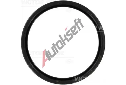 REINZ Tsnic krouek klikovho hdele VR 81-10659-00, 81-10659-00