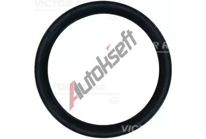 REINZ T�snic� krou�ek klikov�ho h��dele VR 81-10660-00, 81-10660-00