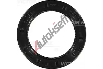 REINZ Tsnc krouek hdele - klikov hdel VR 81-27333-00, 81-27333-00