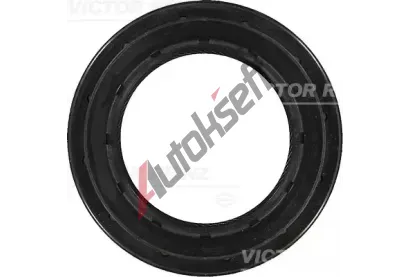 REINZ Tsnic krouek hdele diferencilu VR 81-29412-00, 81-29412-00