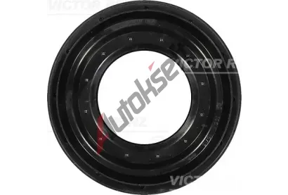 REINZ Tsnic krouek hdele diferencilu VR 81-31377-00, 81-31377-00