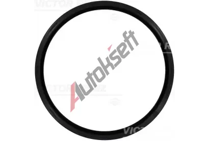 REINZ Tsnic krouek klikovho hdele VR 81-33633-20, 81-33633-20