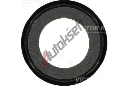 REINZ Tsnc krouek hdele - klikov hdel VR 81-34062-00, 81-34062-00