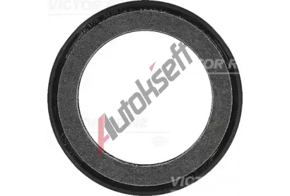 REINZ Tsnc krouek hdele - klikov hdel VR 81-34316-00, 81-34316-00