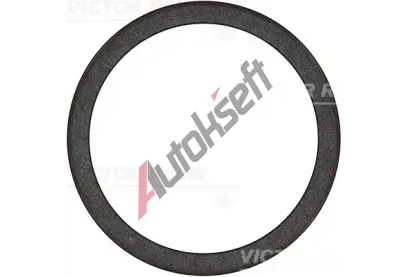 REINZ T�snic� krou�ek klikov�ho h��dele VR 81-36602-00, 81-36602-00